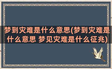 梦到灾难是什么意思(梦到灾难是什么意思 梦见灾难是什么征兆)